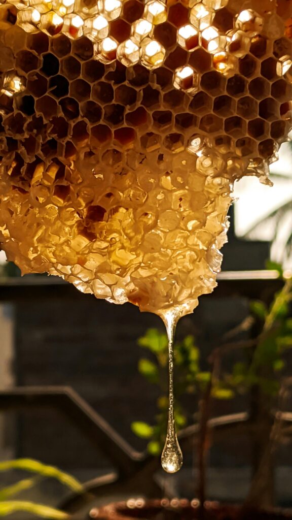 honeycomb2 bu3txtb