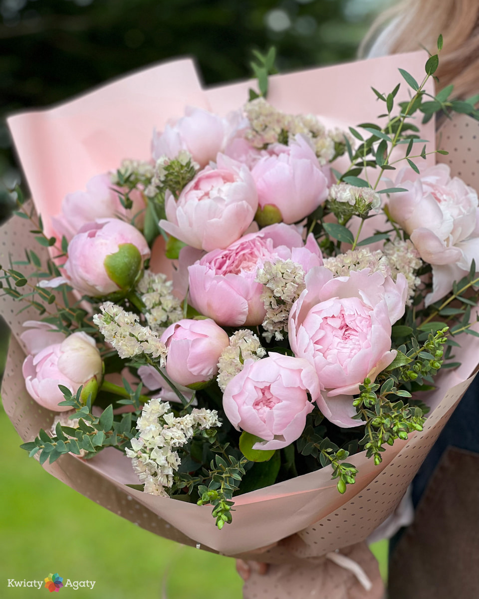 paeony 1